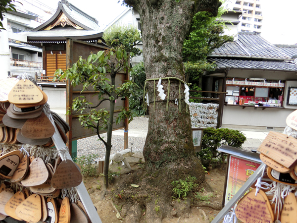 f:id:inudenchi:20180722202140j:plain f:id:inudenchi:20180722202140j:plain