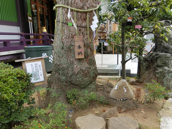 f:id:inudenchi:20180722202410j:plain f:id:inudenchi:20180722202410j:plain