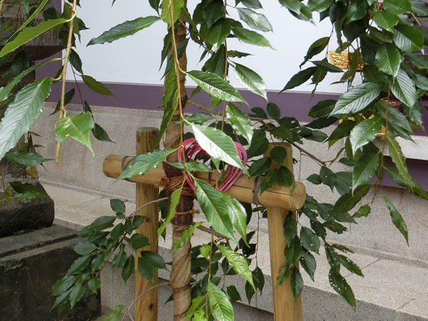 f:id:inudenchi:20180722202708j:plain f:id:inudenchi:20180722202708j:plain