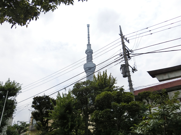 f:id:inudenchi:20180722202732j:plain f:id:inudenchi:20180722202732j:plain