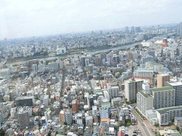 ラ・ソラシドからの景色