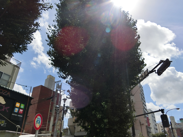 f:id:inudenchi:20180831205925j:plain f:id:inudenchi:20180831205925j:plain