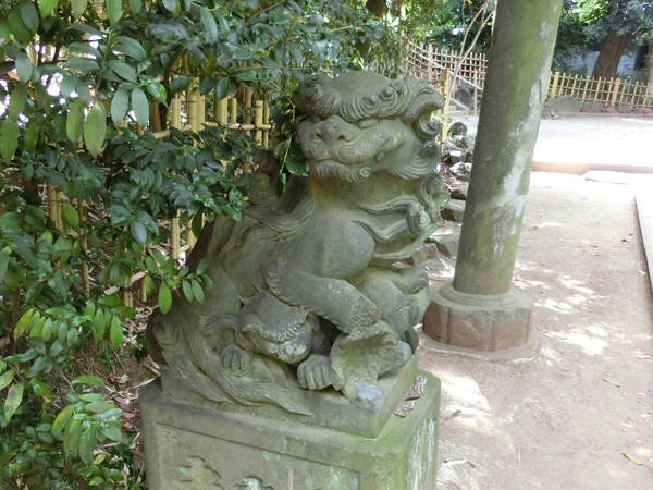 渋谷氷川神社の左の狛犬