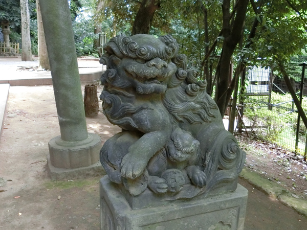 渋谷氷川神社の右の狛犬