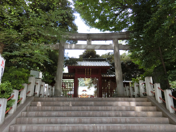 f:id:inudenchi:20180902212048j:plain