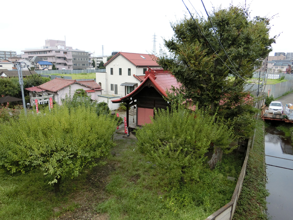 f:id:inudenchi:20180913202154j:plain f:id:inudenchi:20180913202154j:plain