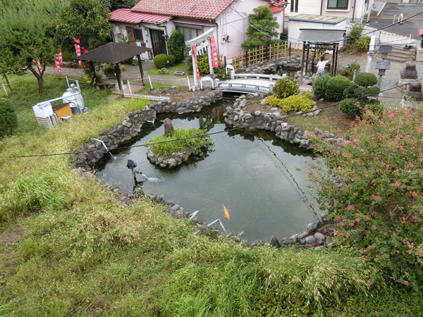 f:id:inudenchi:20180913202210j:plain f:id:inudenchi:20180913202210j:plain