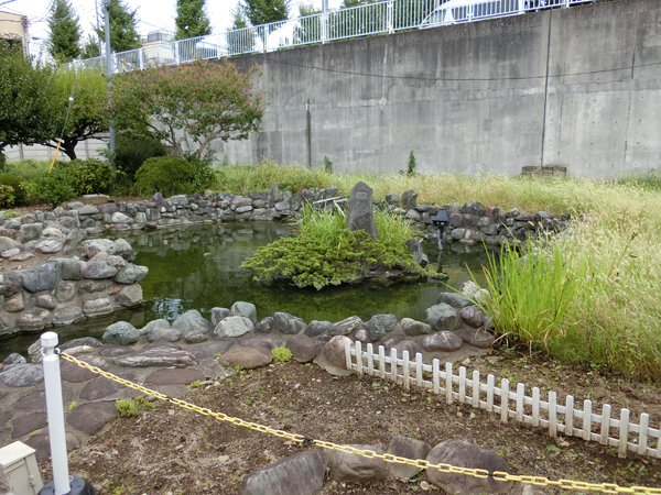 f:id:inudenchi:20180913202344j:plain f:id:inudenchi:20180913202344j:plain