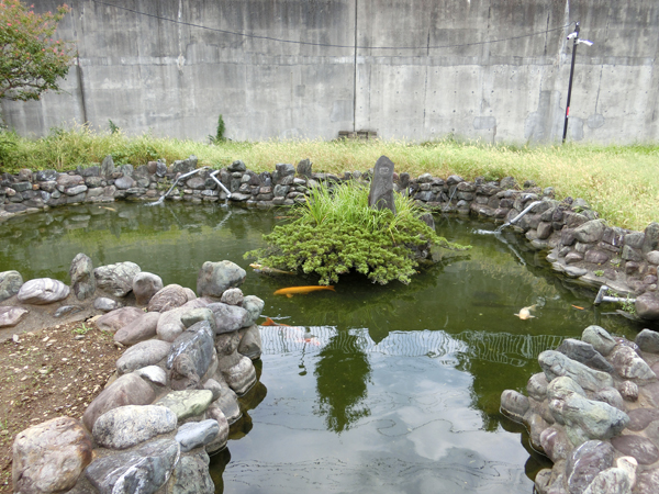 f:id:inudenchi:20180913202921j:plain f:id:inudenchi:20180913202921j:plain