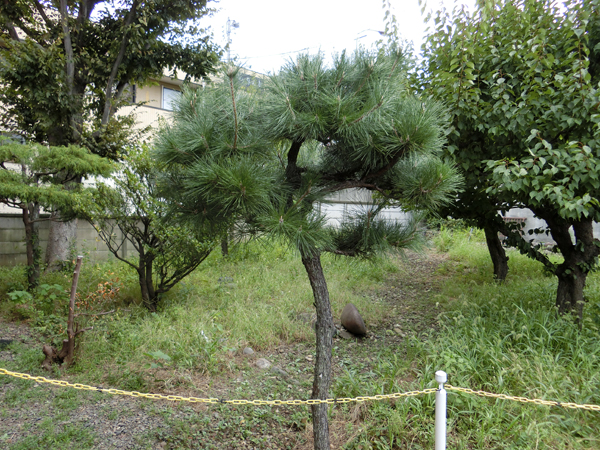 f:id:inudenchi:20180913203838j:plain f:id:inudenchi:20180913203838j:plain