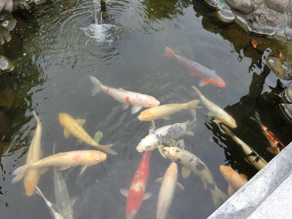 f:id:inudenchi:20180913203853j:plain f:id:inudenchi:20180913203853j:plain