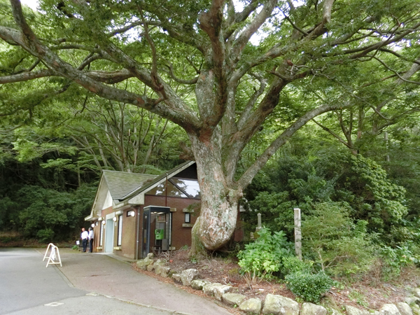 f:id:inudenchi:20181008175046j:plain f:id:inudenchi:20181008175046j:plain