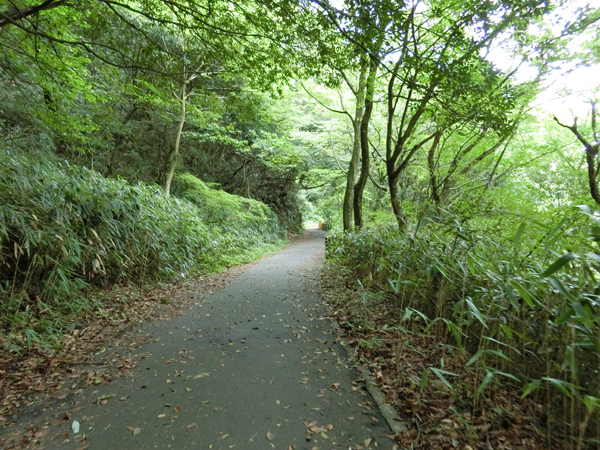 f:id:inudenchi:20181008175129j:plain f:id:inudenchi:20181008175129j:plain