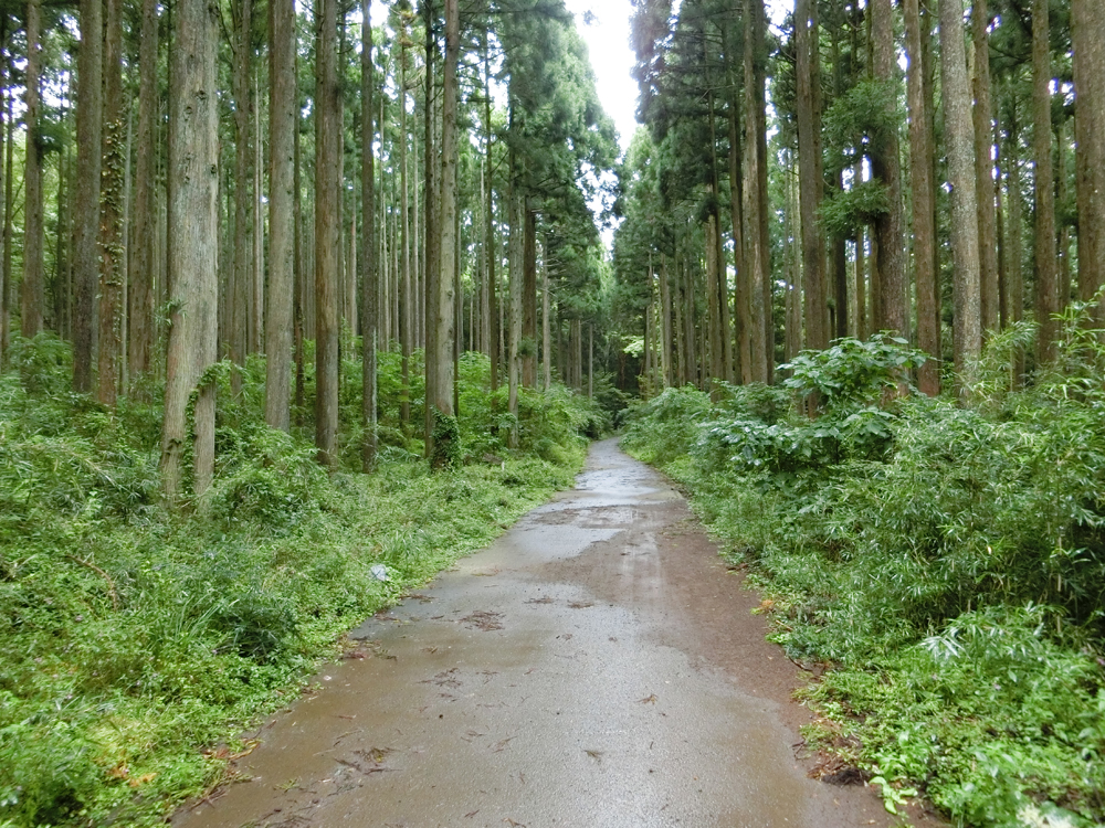 f:id:inudenchi:20181008175227j:plain f:id:inudenchi:20181008175227j:plain