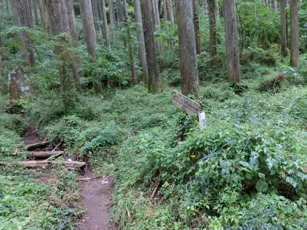 f:id:inudenchi:20181008175301j:plain f:id:inudenchi:20181008175301j:plain