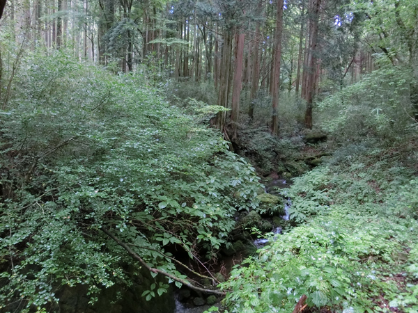 f:id:inudenchi:20181008175315j:plain f:id:inudenchi:20181008175315j:plain