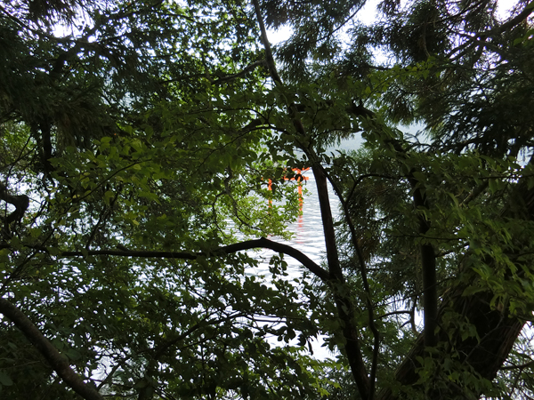 f:id:inudenchi:20181008180129j:plain f:id:inudenchi:20181008180129j:plain