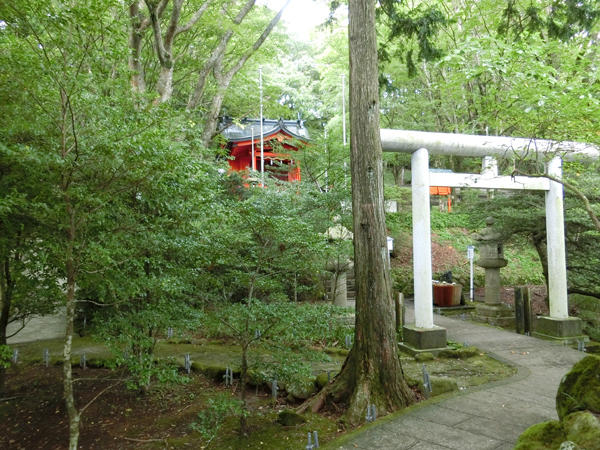 f:id:inudenchi:20181008180156j:plain f:id:inudenchi:20181008180156j:plain