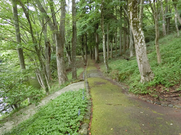 f:id:inudenchi:20181008180729j:plain f:id:inudenchi:20181008180729j:plain