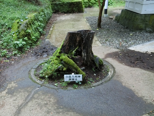 f:id:inudenchi:20181008180906j:plain f:id:inudenchi:20181008180906j:plain