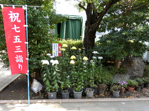 f:id:inudenchi:20181120195436j:plain