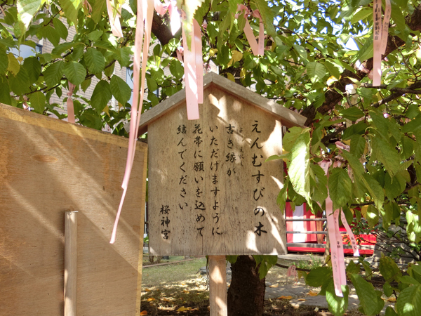 f:id:inudenchi:20181120195558j:plain