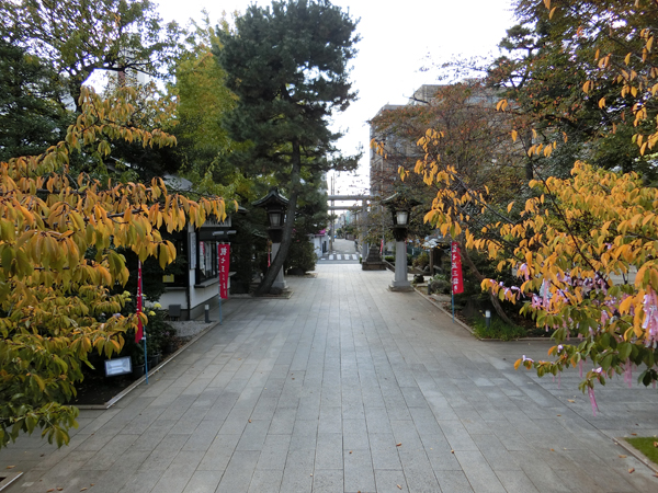 f:id:inudenchi:20181120204621j:plain