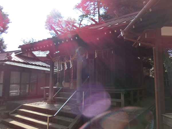 f:id:inudenchi:20181123203639j:plain