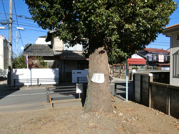 f:id:inudenchi:20181126165845j:plain