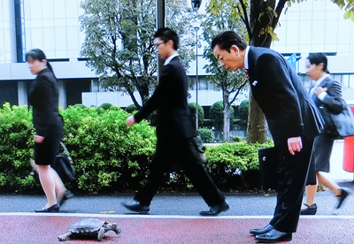 f:id:inudenchi:20181129011618j:plain