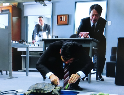 f:id:inudenchi:20181129011846j:plain