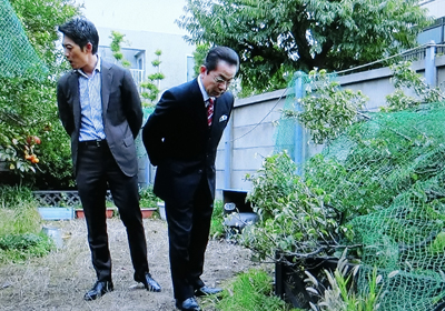 f:id:inudenchi:20181129012412j:plain