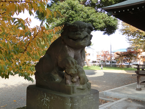 下石原八幡神社の左の狛犬