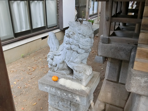 金山彦神社の左の狛犬