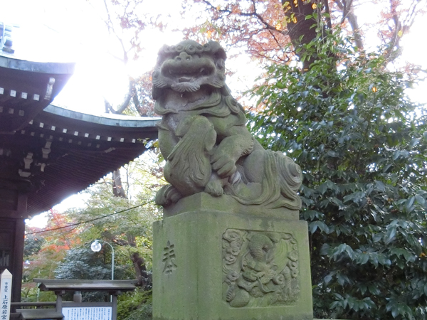 上石原若宮八幡神社の右の狛犬