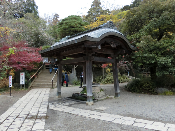 f:id:inudenchi:20181218215802j:plain
