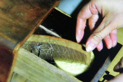 f:id:inudenchi:20190124004202j:plain