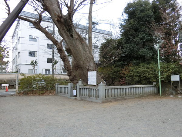 f:id:inudenchi:20190210205716j:plain