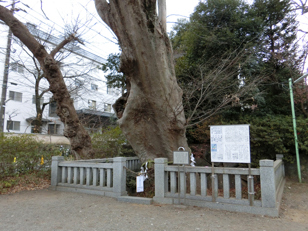 f:id:inudenchi:20190210205729j:plain