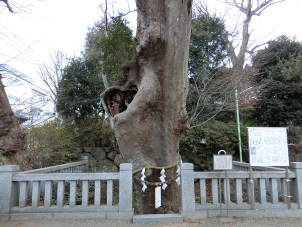 f:id:inudenchi:20190210205742j:plain