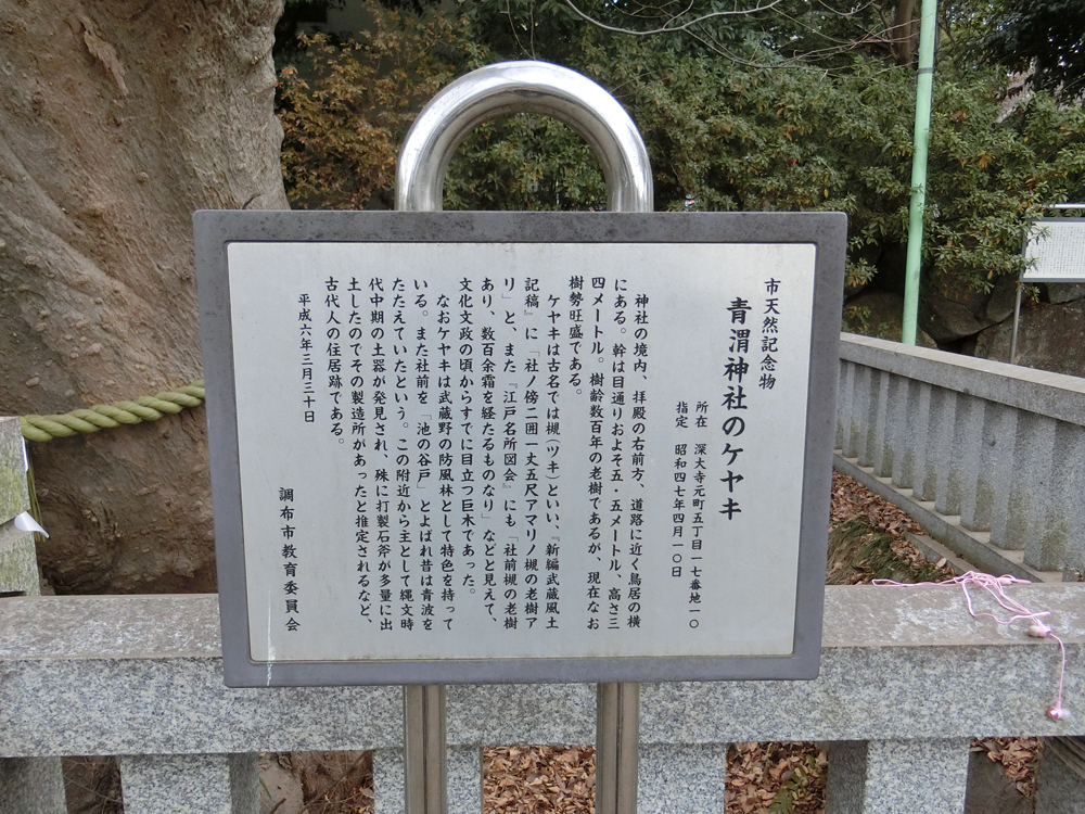 f:id:inudenchi:20190210205757j:plain