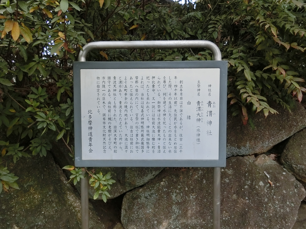 f:id:inudenchi:20190210210132j:plain