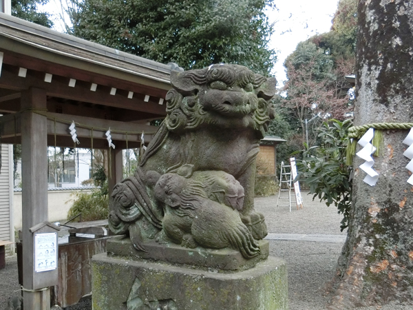 青渭神社の左の狛犬