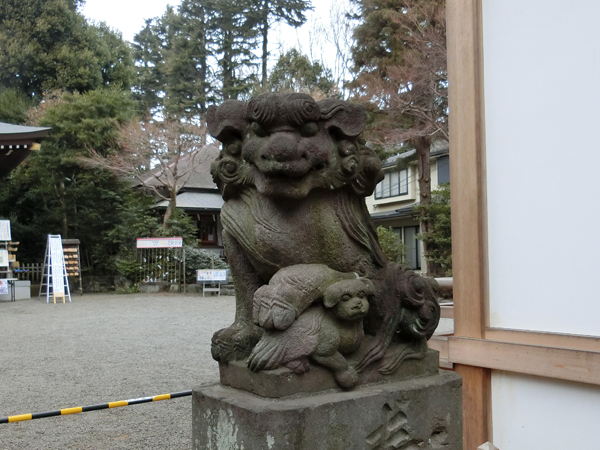 青渭神社の右の狛犬