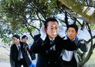 f:id:inudenchi:20190228011907j:plain