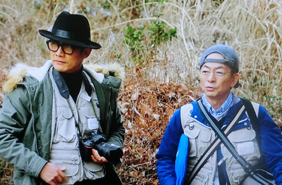 f:id:inudenchi:20190321020749j:plain