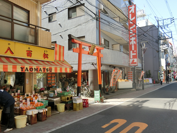 f:id:inudenchi:20190321191841j:plain