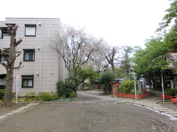 f:id:inudenchi:20190414191514j:plain