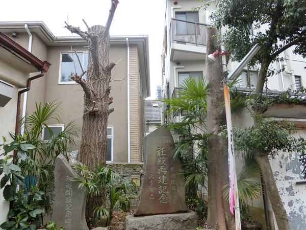 f:id:inudenchi:20190414191638j:plain