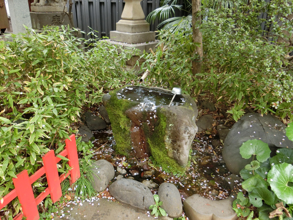 f:id:inudenchi:20190414191802j:plain